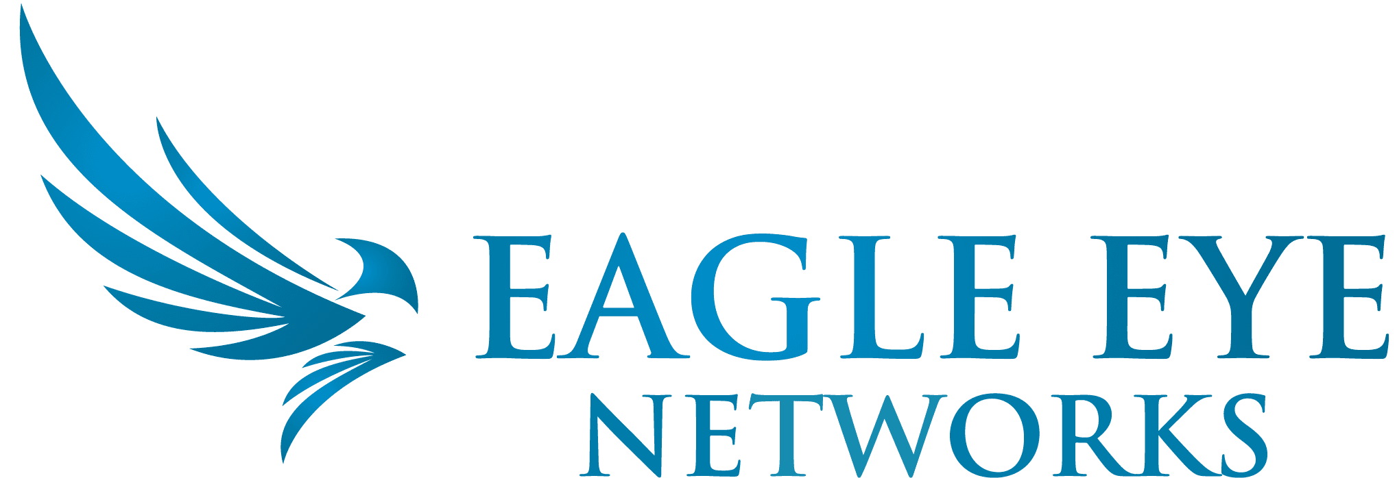 Eagle Eye Logo Horizontal Blue 20180925