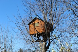 tree-house-695420_960_720